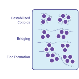 Custom Coagulants & Flocculants for Water Treatment